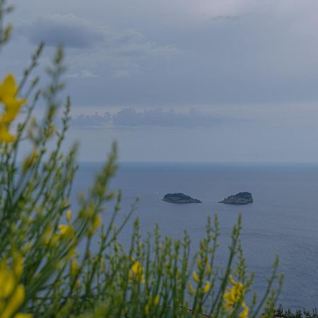 Villa La Pace Sant'Agnello Zewnętrze zdjęcie