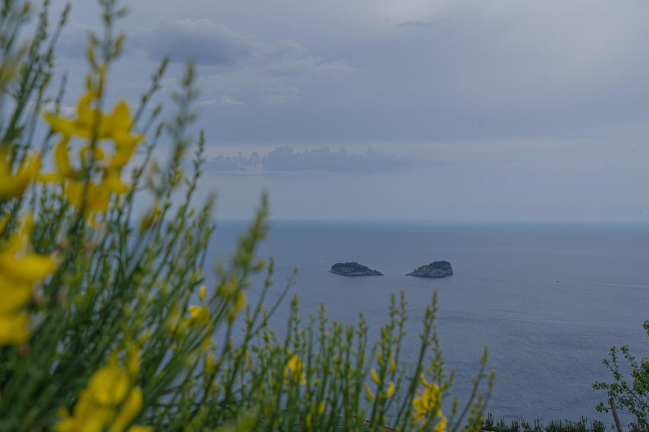 Villa La Pace Sant'Agnello Zewnętrze zdjęcie