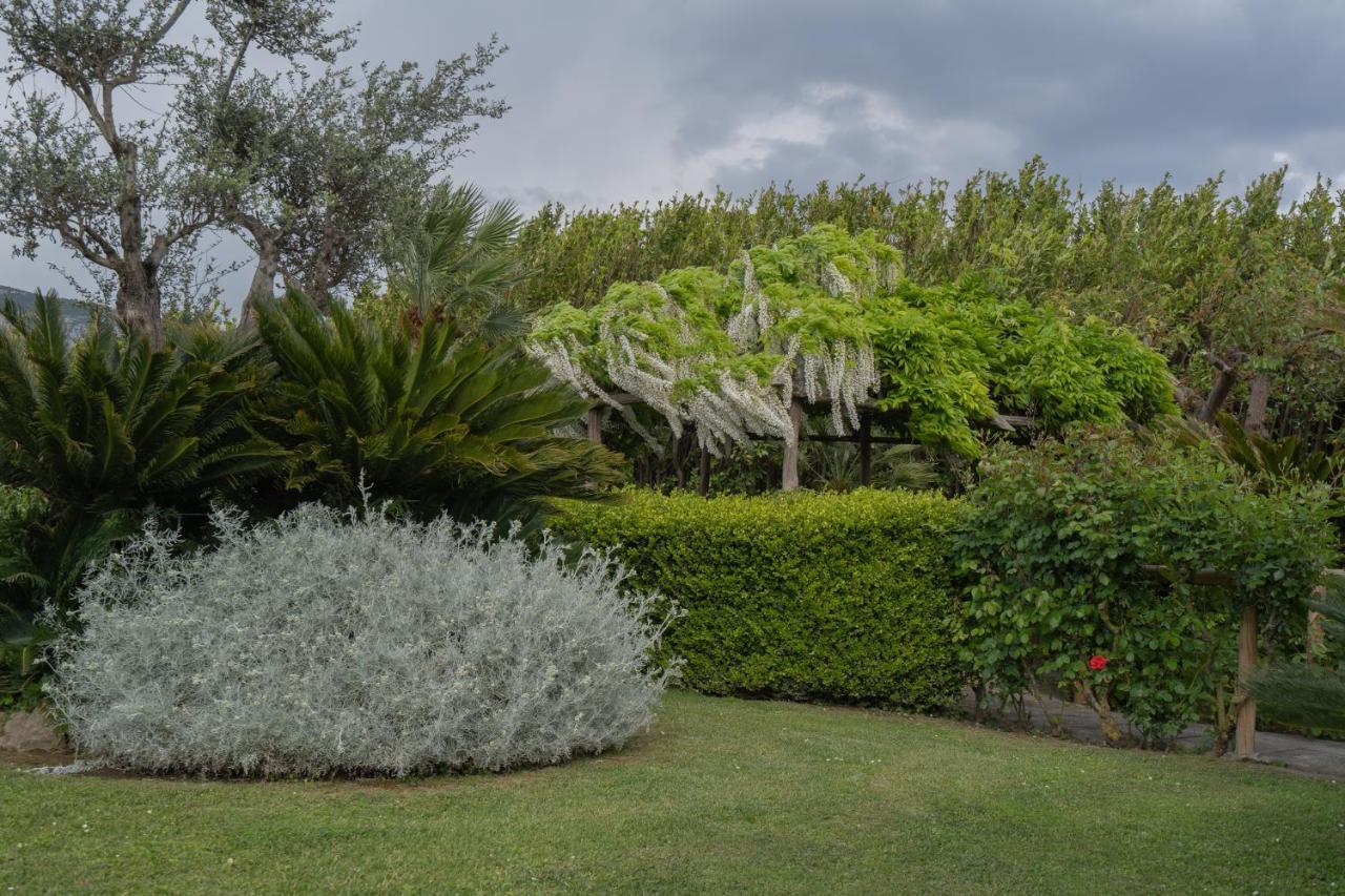 Villa La Pace Sant'Agnello Zewnętrze zdjęcie
