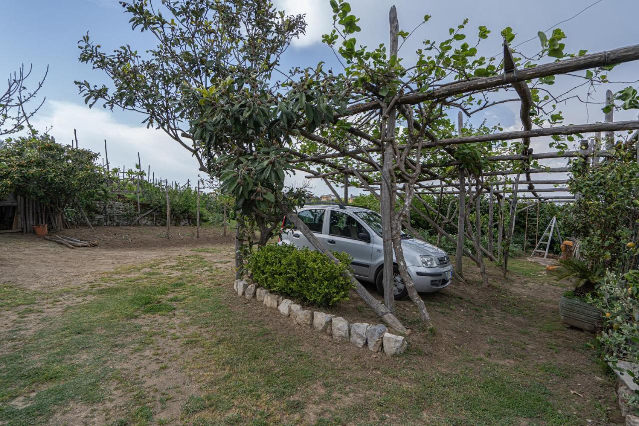 Villa La Pace Sant'Agnello Zewnętrze zdjęcie