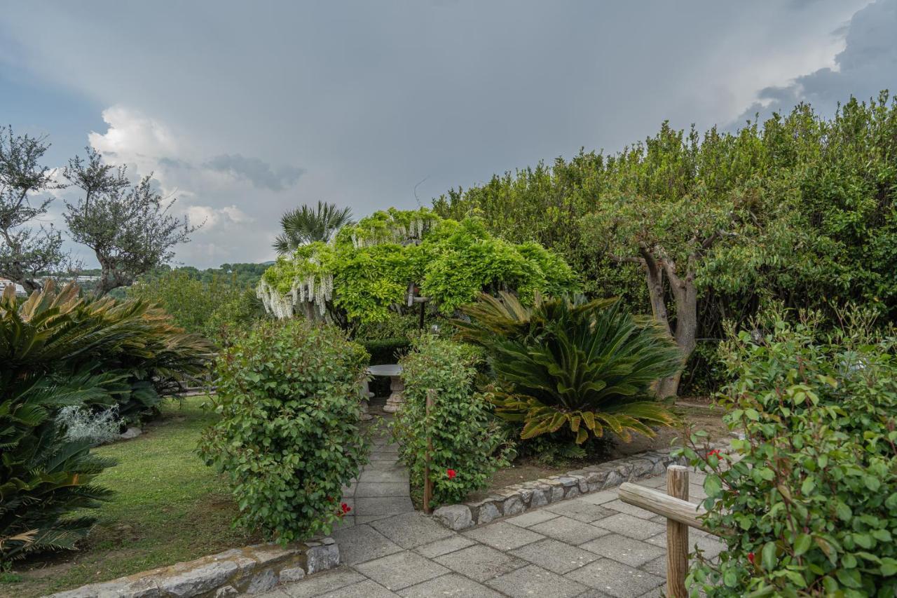 Villa La Pace Sant'Agnello Zewnętrze zdjęcie